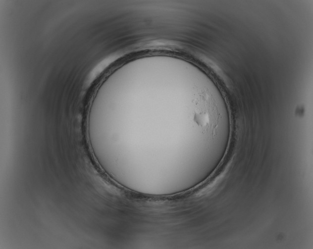 X0000093451066200710121001