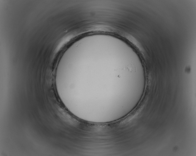 X0000093451067200710121001