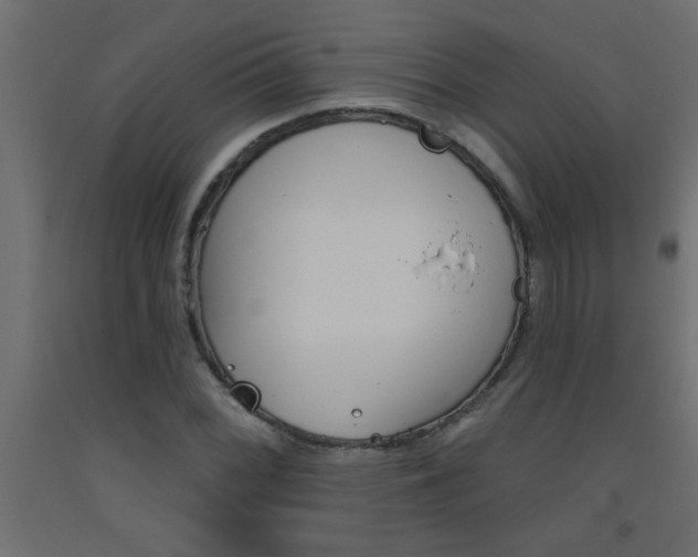 X0000093451068200710121001
