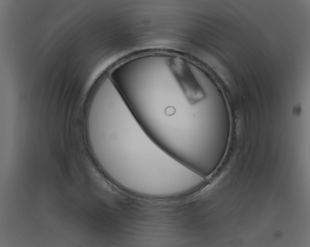 X0000093451069200710121001
