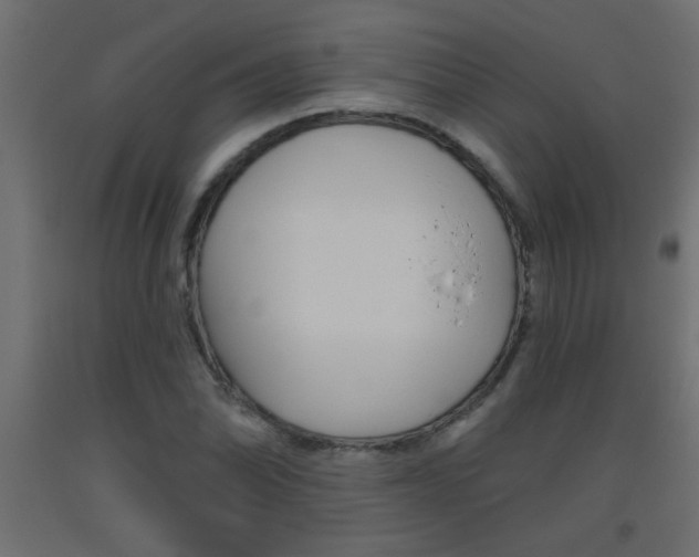 X0000093451070200710121001