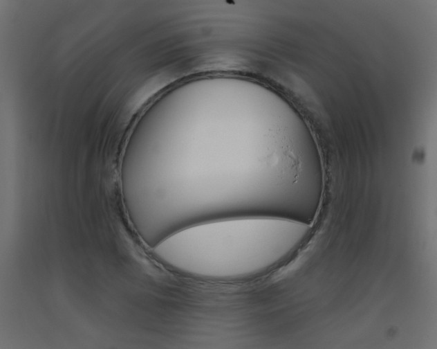 X0000093451073200710121001