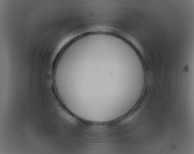 X0000093451075200710121001