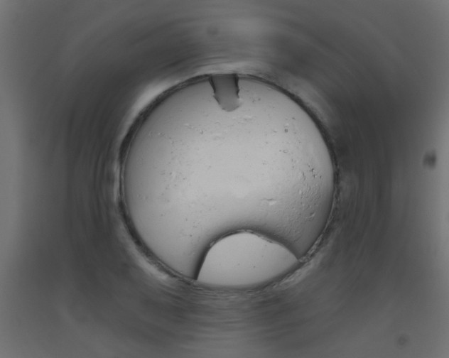 X0000093451079200710121001