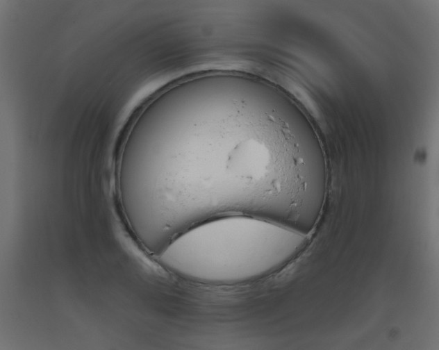 X0000093451080200710121001