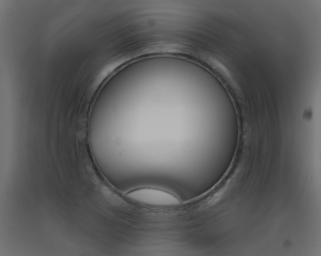 X0000093451081200710121001