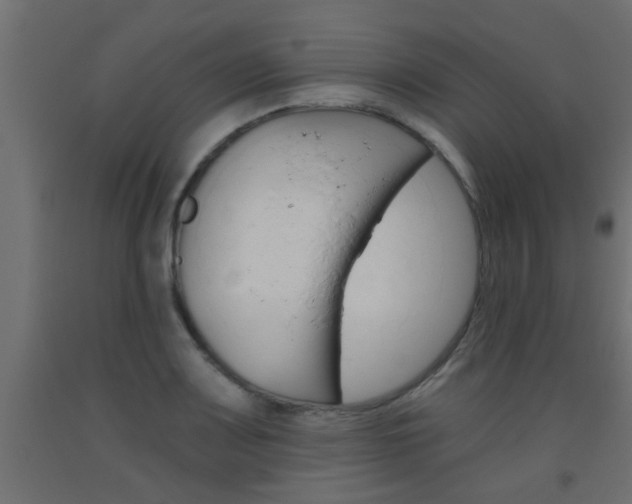 X0000093451083200710121000
