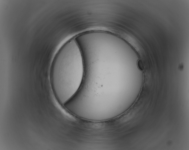X0000093451084200710121000