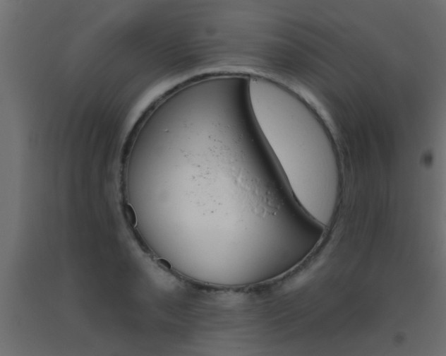 X0000093451085200710121000