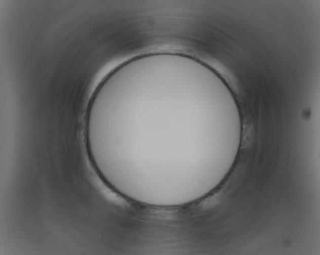 X0000093451086200710121000