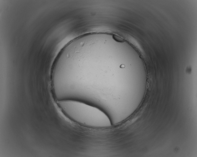 X0000093451087200710121000