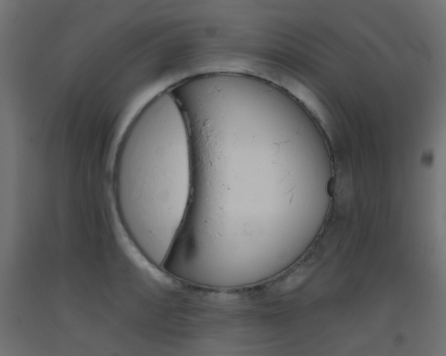 X0000093451088200710121000