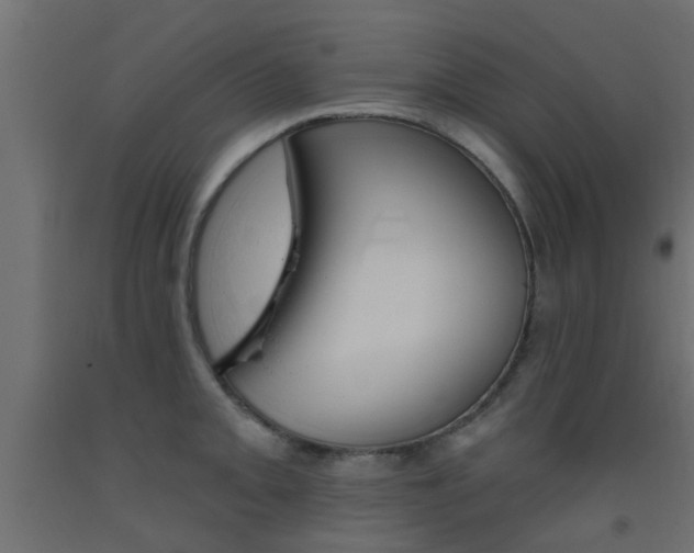 X0000093451093200710121000