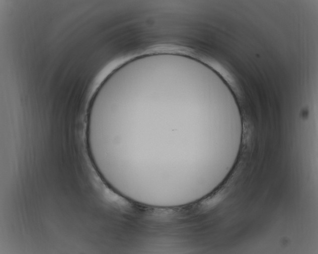 X0000093451094200710121000