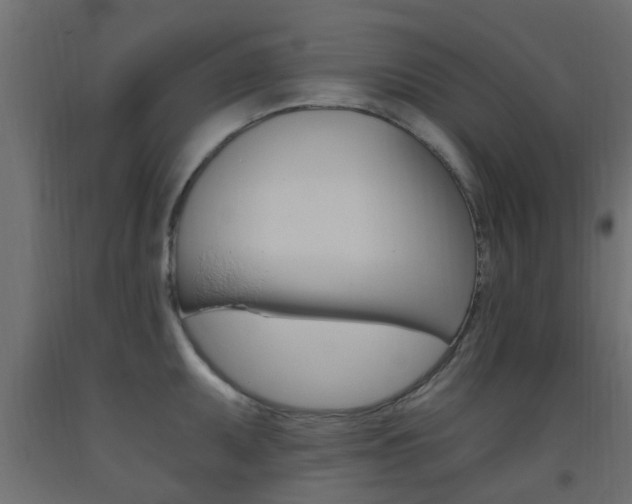 X0000093451095200710121000