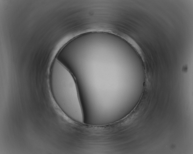 X0000093451096200710121000