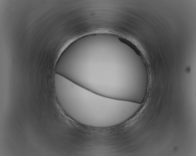 X0000093451097200710121000
