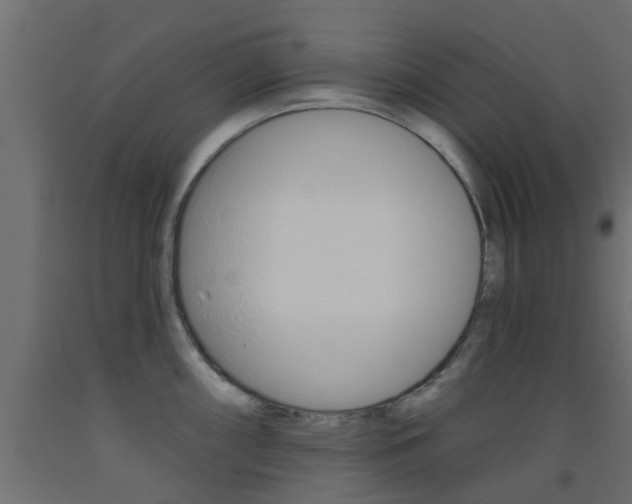 X0000093451098200710121000
