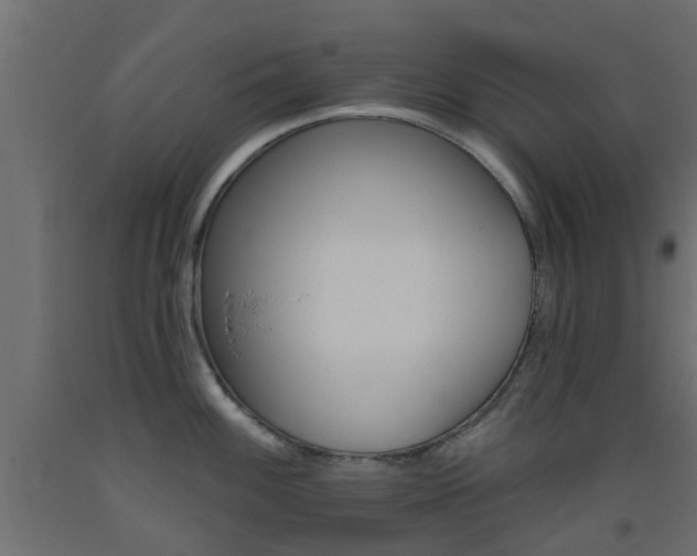 X0000093451100200710121000