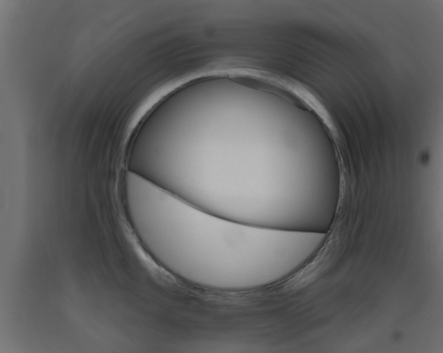 X0000093451101200710121000