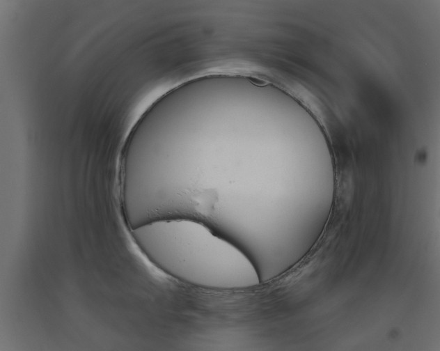 X0000093451103200710121000