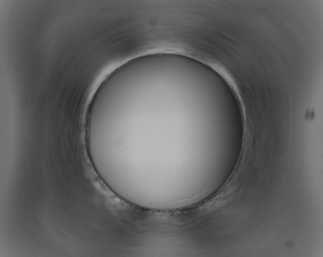 X0000093451104200710121000
