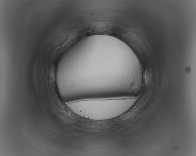 X0000093451107200710121000