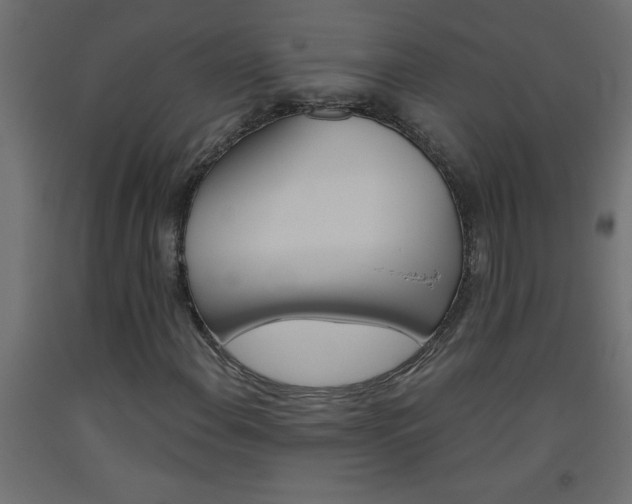X0000093451108200710121000