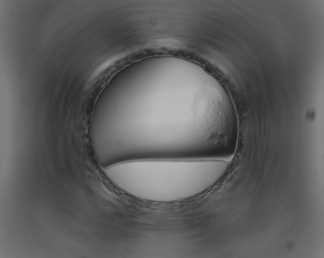 X0000093451112200710121000