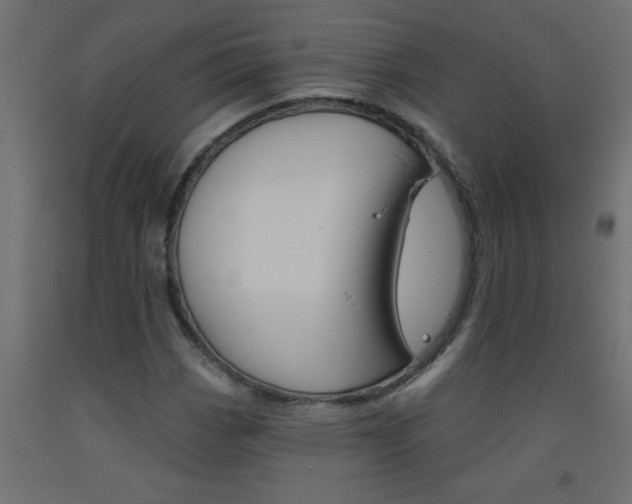 X0000093451113200710121000