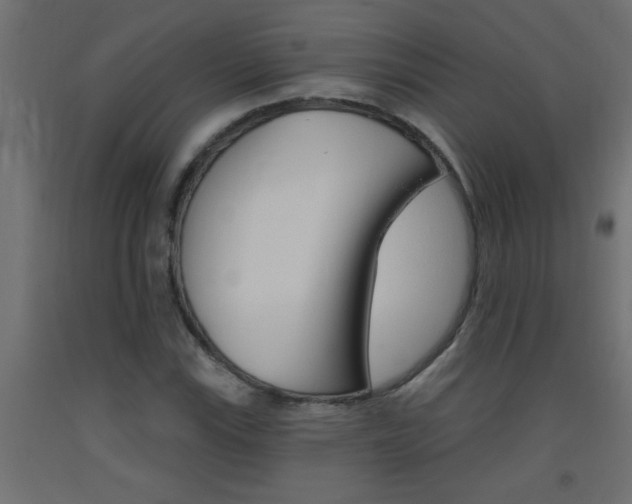 X0000093451115200710121000