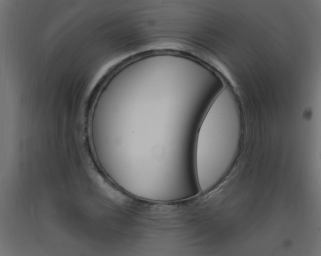 X0000093451116200710121000