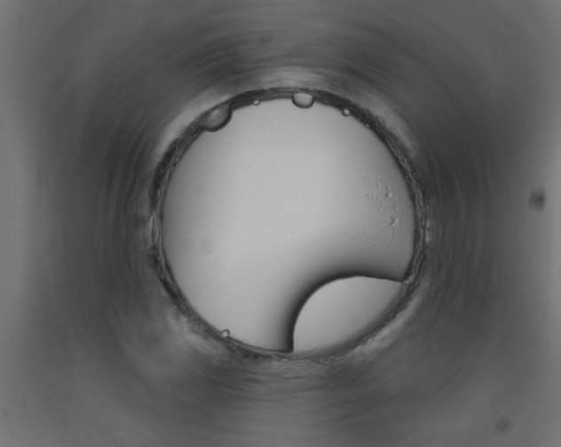 X0000093451117200710121000