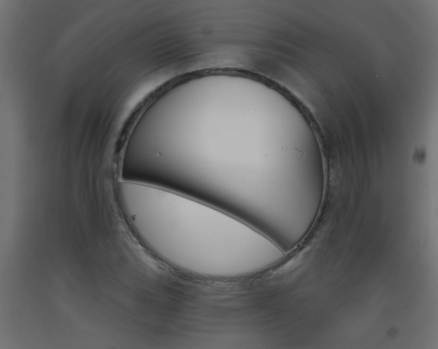 X0000093451119200710121000
