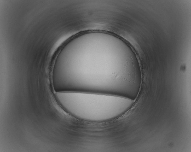 X0000093451120200710121000