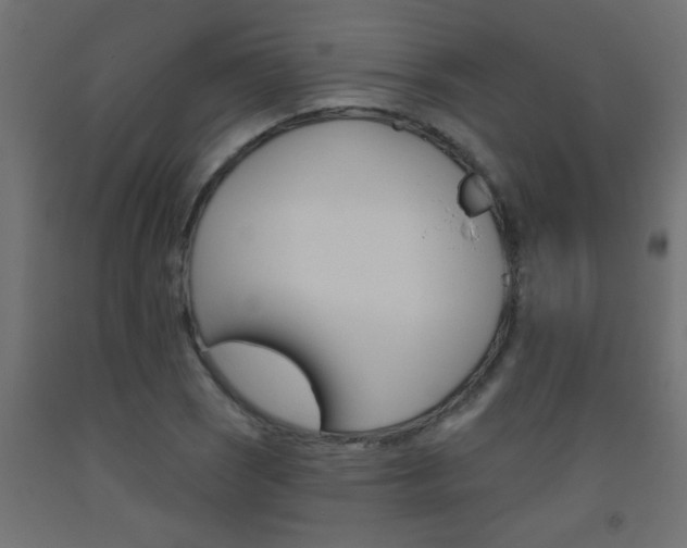 X0000093451121200710121000
