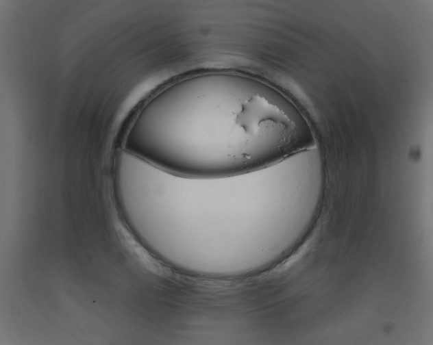 X0000093451122200710121000