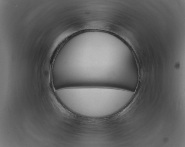 X0000093451123200710121000