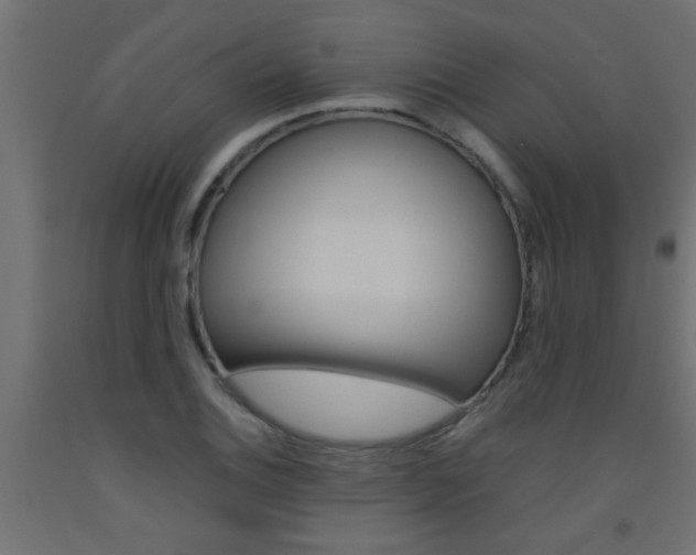 X0000093451124200710121000