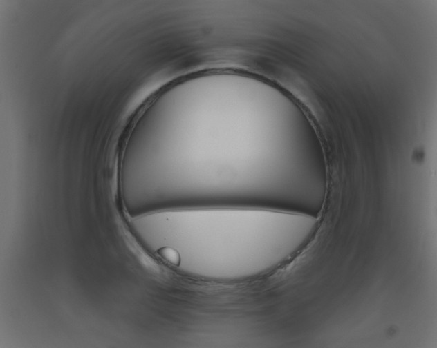 X0000093451127200710121000