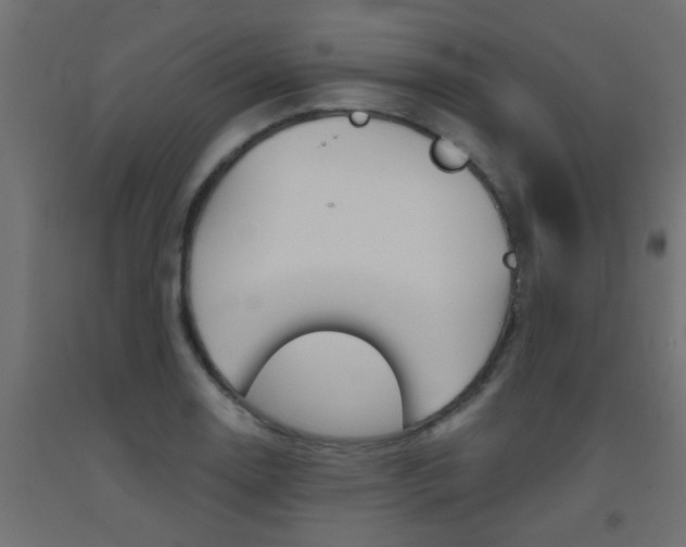 X0000093451130200710121000