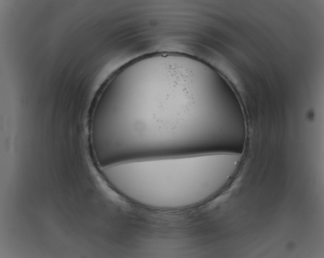 X0000093451133200710121000