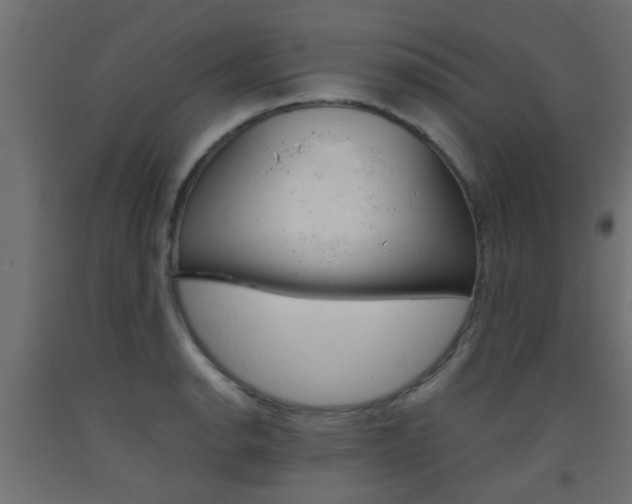 X0000093451134200710121000