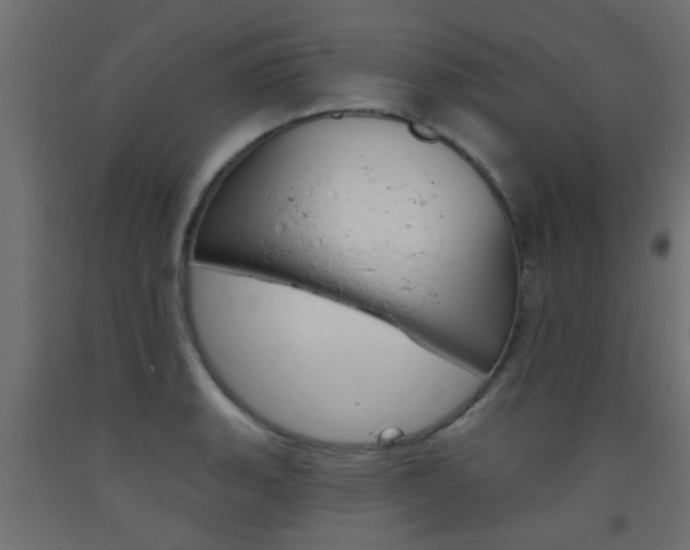 X0000093451135200710121000