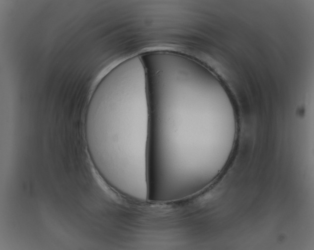 X0000093451137200710121000