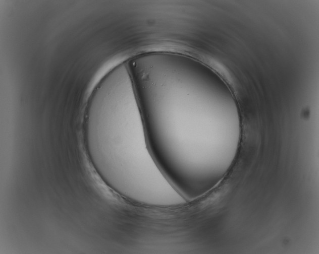 X0000093451138200710121000