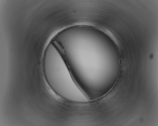 X0000093451140200710121000
