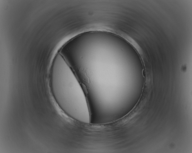 X0000093451144200710121000