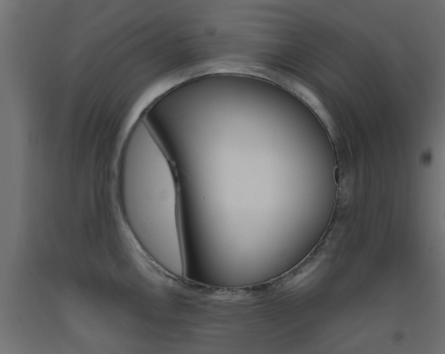 X0000093451146200710121000