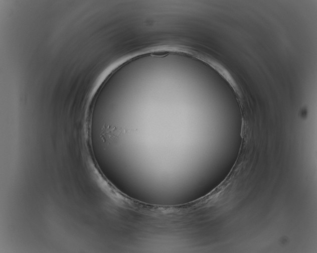 X0000093451148200710121000